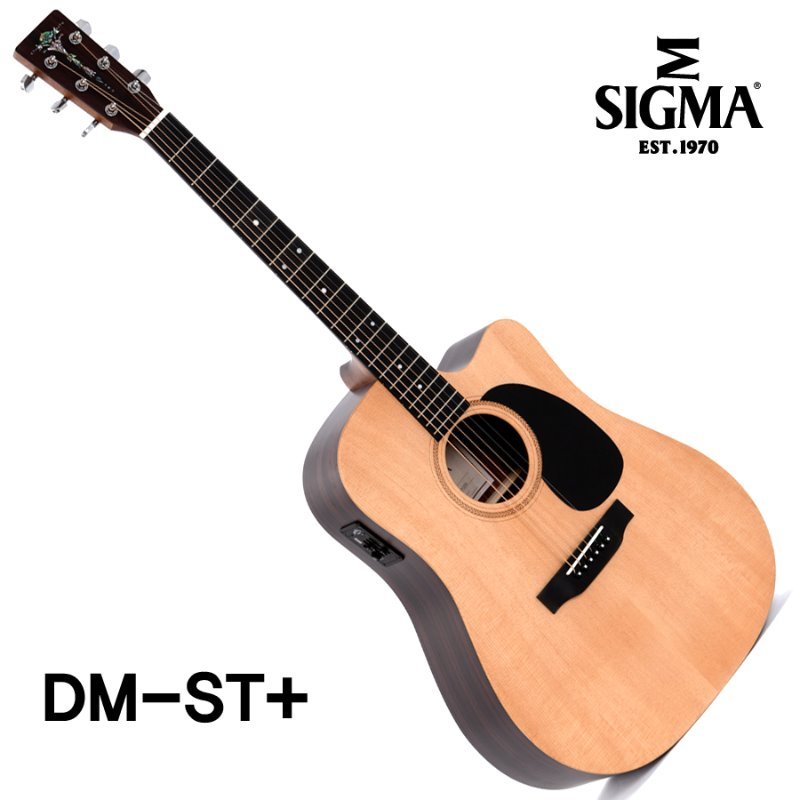 [시그마 공식대리점/실재고보유] Sigma ST Series DM-ST+(신품)